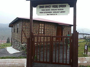 Fındık kütüphanesi