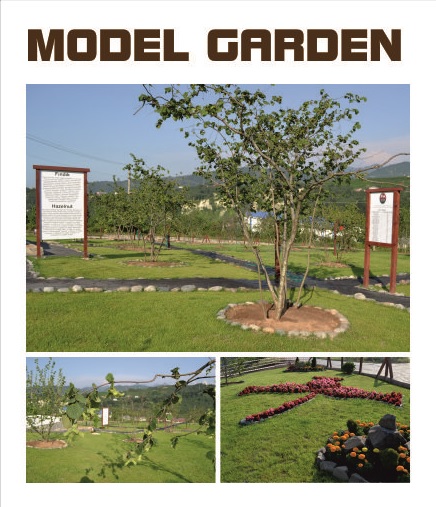 Model bahçe